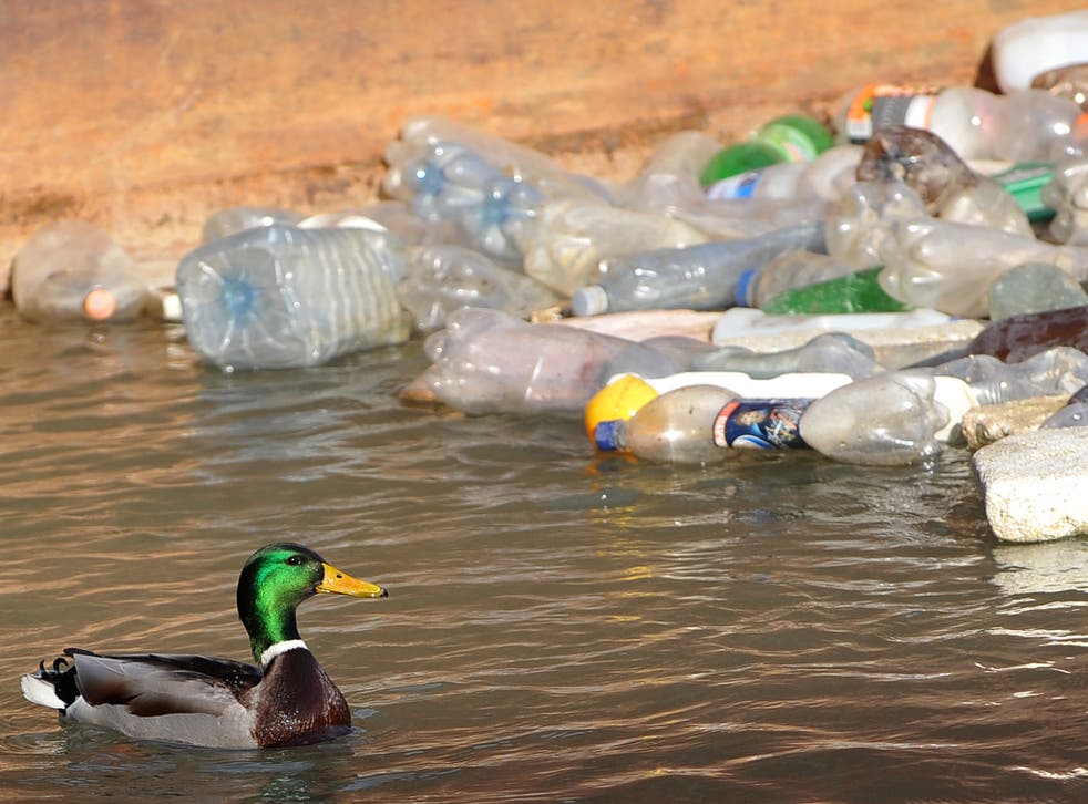 According to Recycle Now, UK households use 480 plastic bottles a year, but recycle just 270 of them