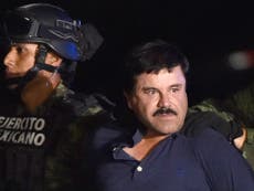 El Chapo: Mexican drug lord gets his own miniseries