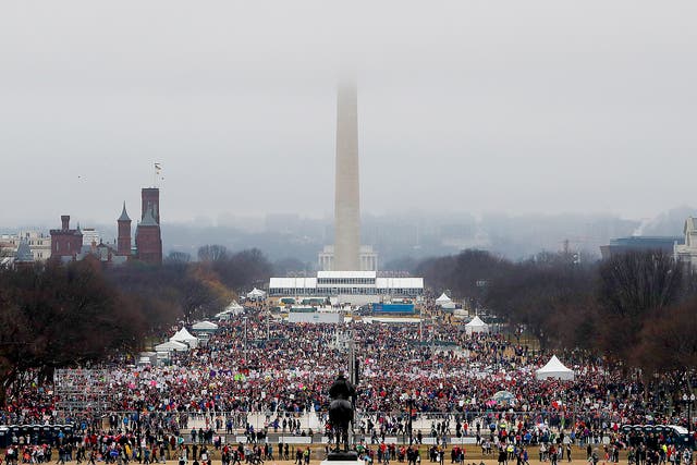 Protesters assemble on the National Mall during the Women's March in Washington DC