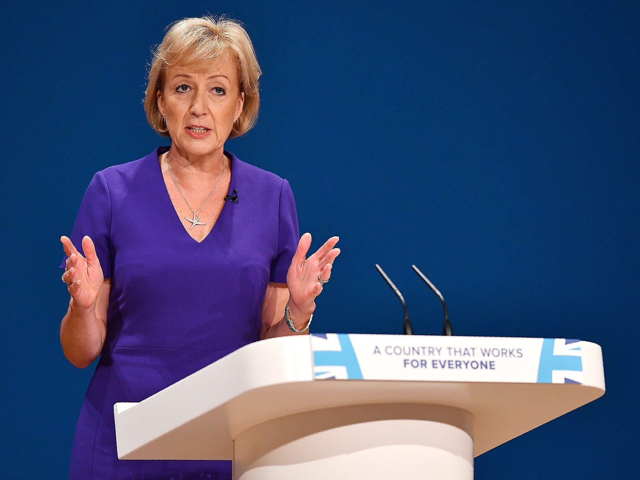 Environment Minister Andrea Leadsom suggested air pollution was not an emergency