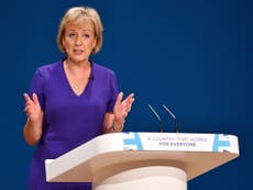 Parties must work together on Brexit policy, says Leadsom