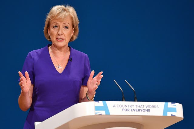 Leadsom's comments come amidst reports that Cabinet ministers want Theresa May to ease up on her ‘red lines’