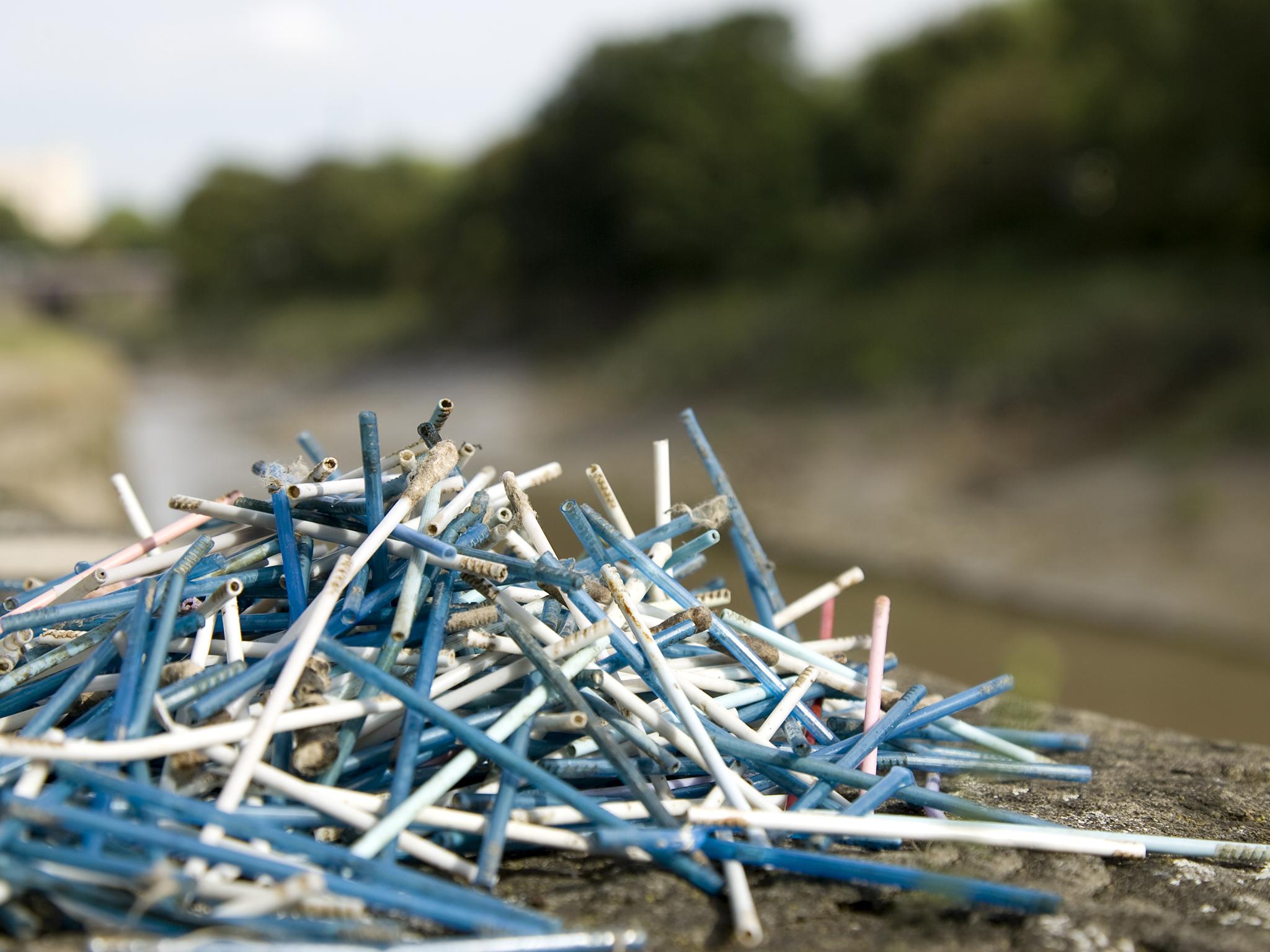 Cotton buds collected along the River Avon, Bristol