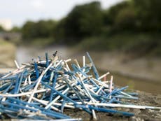 Johnson & Johnson ditches plastic cotton buds over marine pollution