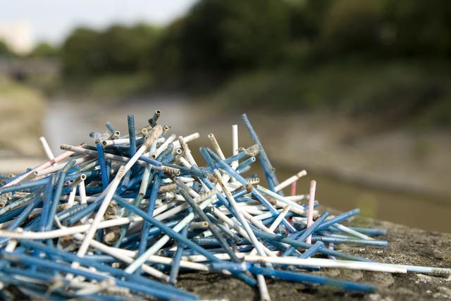Cotton buds collected along the River Avon, Bristol