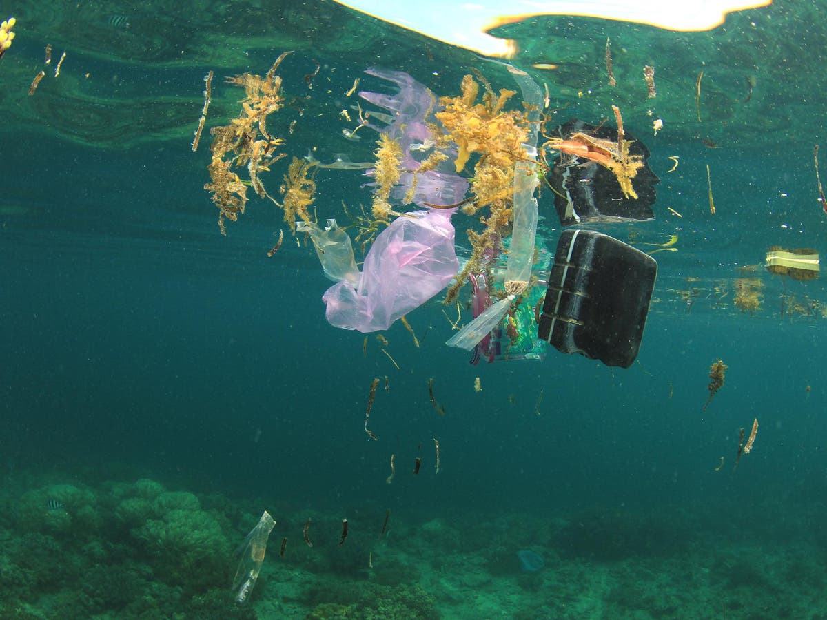 Why We Need To Recycle Plastic And Not Add To The Eight Million Tonnes