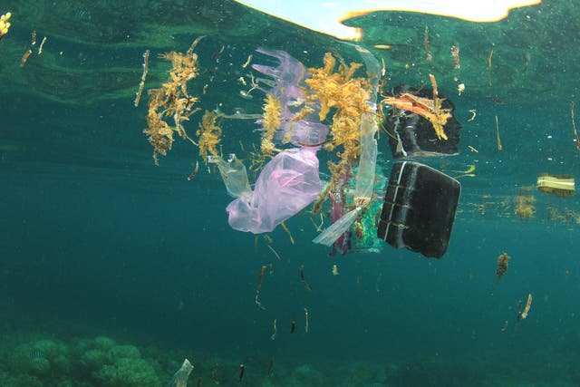 The amount of plastic in the ocean is estimated to be roughly 250,000 square miles which is the same size as Texas