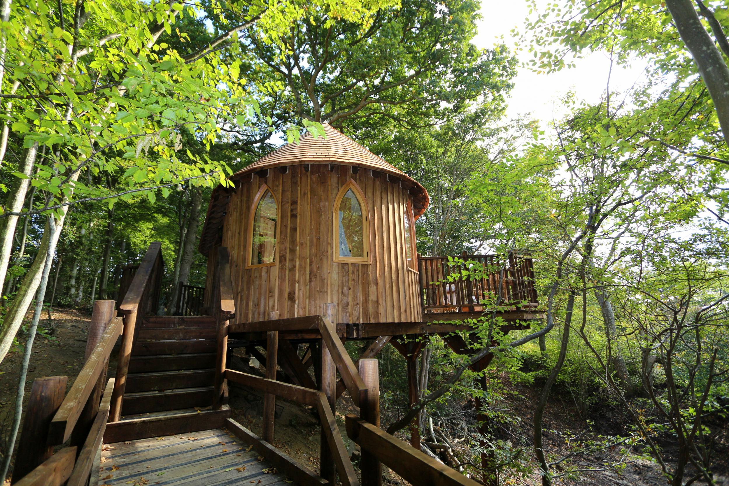 &#13;
Hoot's Treehouse, hidden in Rother Valley woodland&#13;