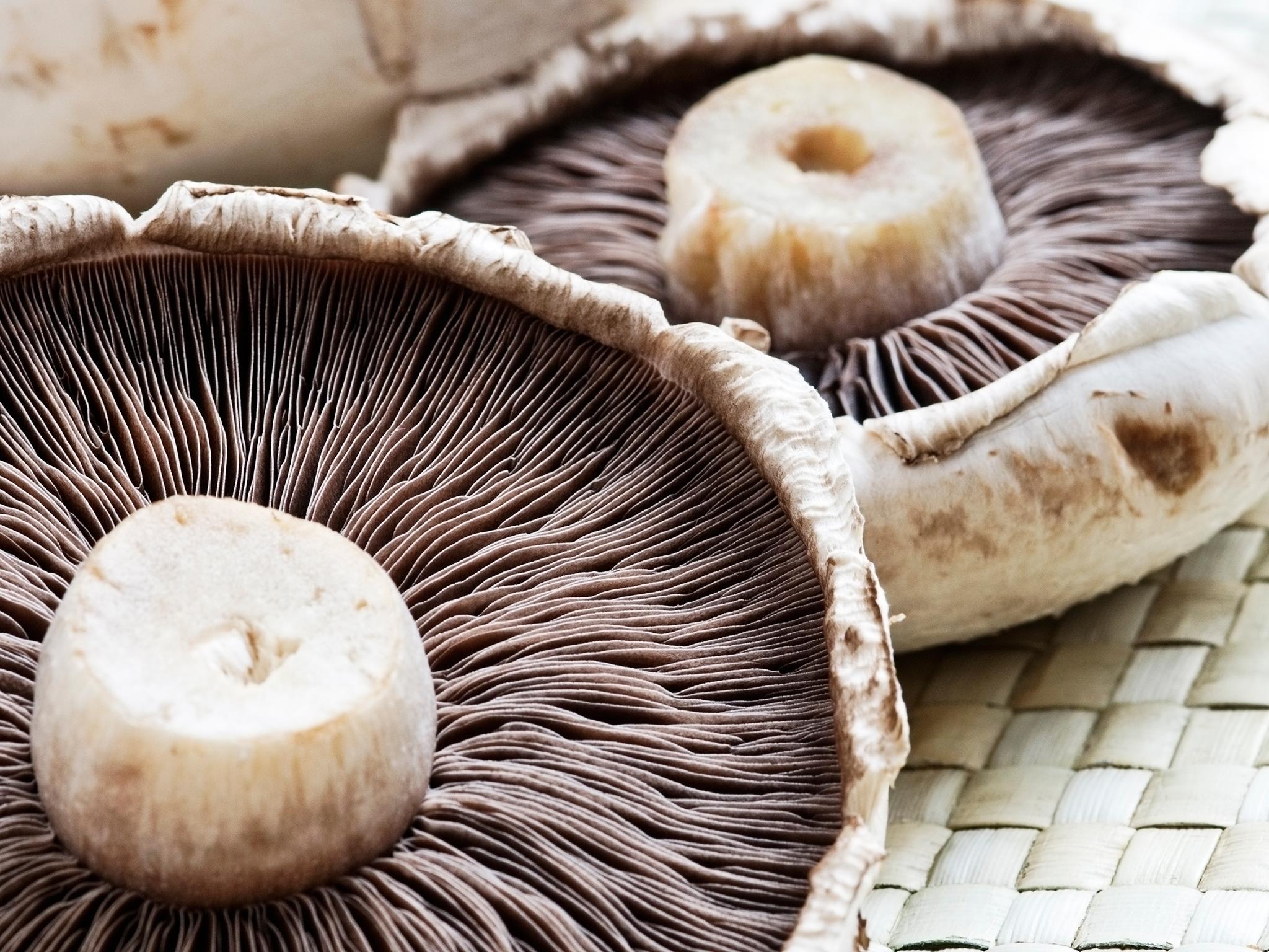 mushroom-istock-onebluelight.jpg?w968h681