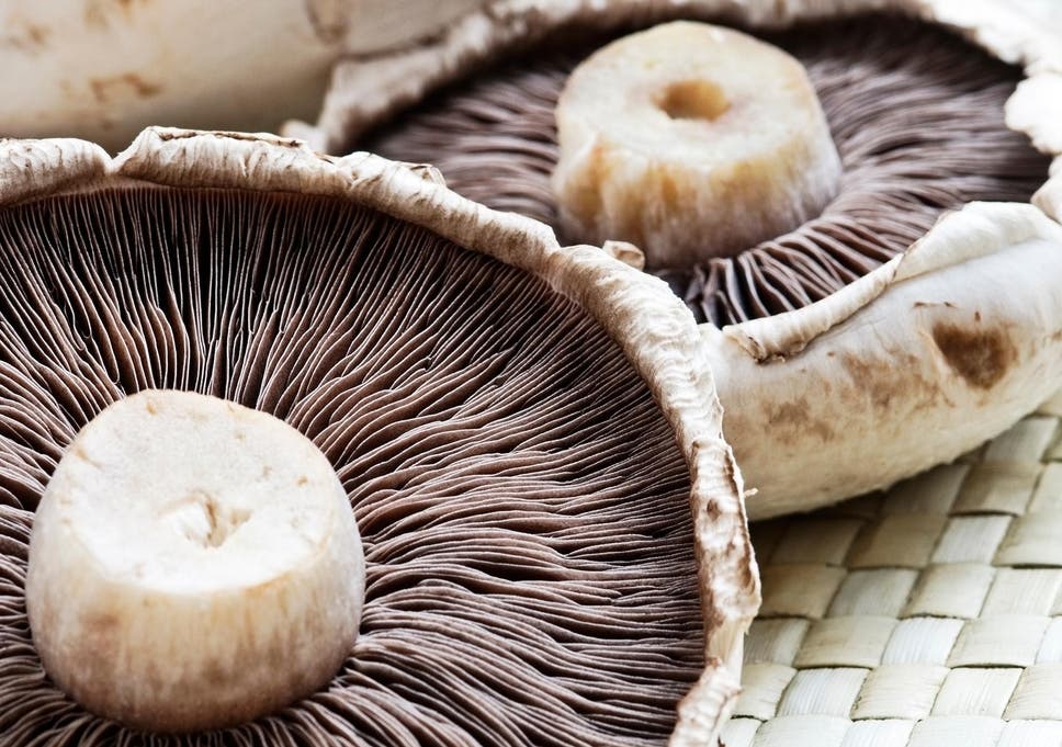 mushroom-istock-onebluelight.jpg?w968h681