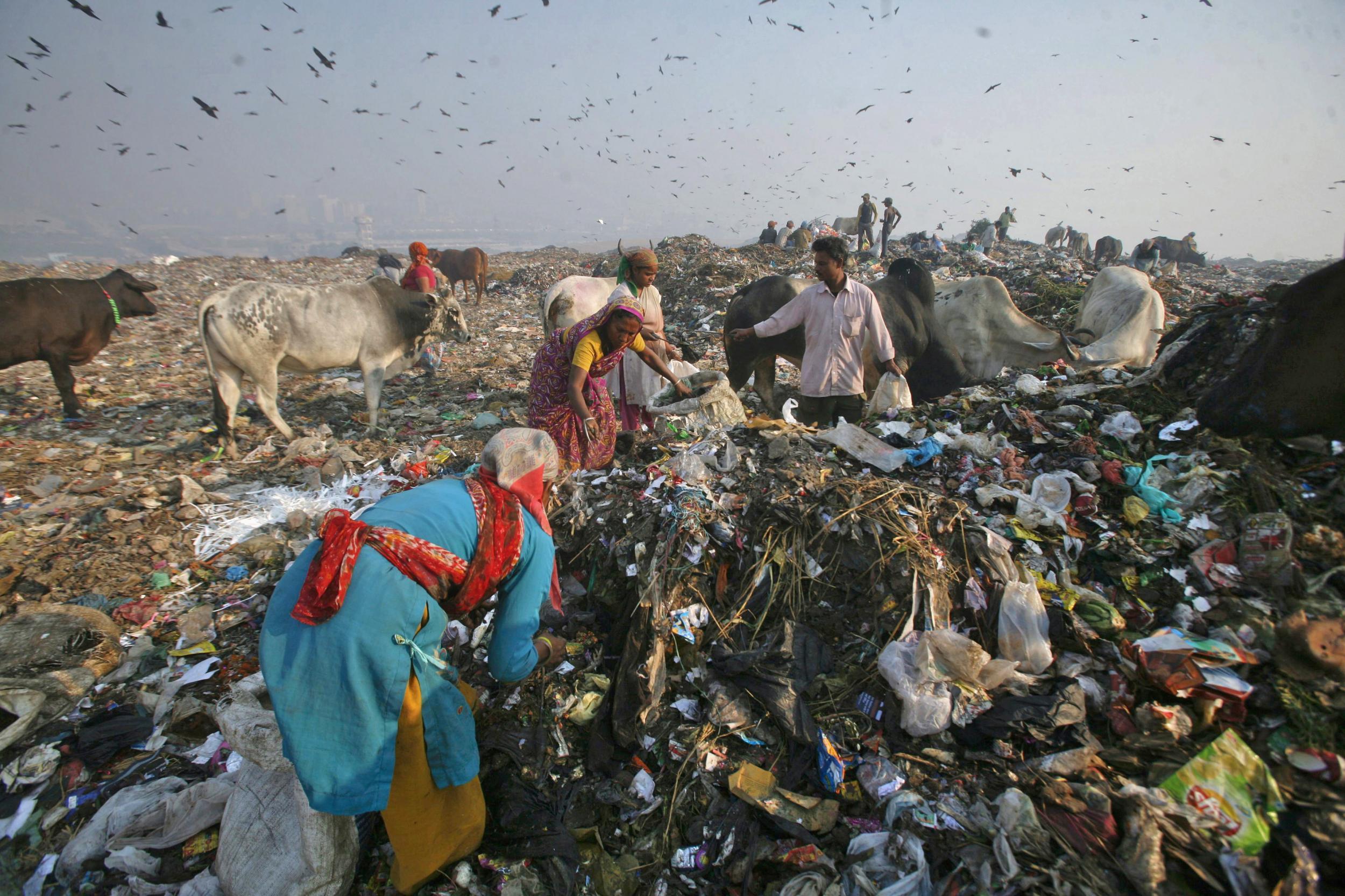 Waste collector Saudagar Mukherjee and his daughter Madhuri collect recyclable material at the Ghazipur landfill in New Delhi
