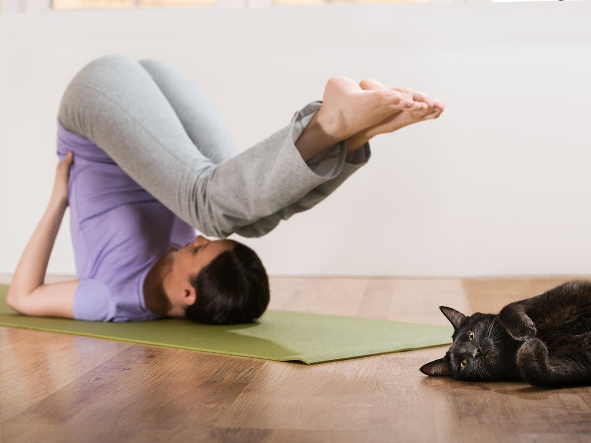 The truth about whether fads like goat and beer yoga are 