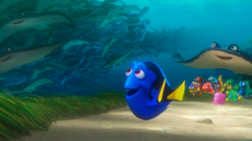 Trump watches Finding Dory while America protests his immigration ban