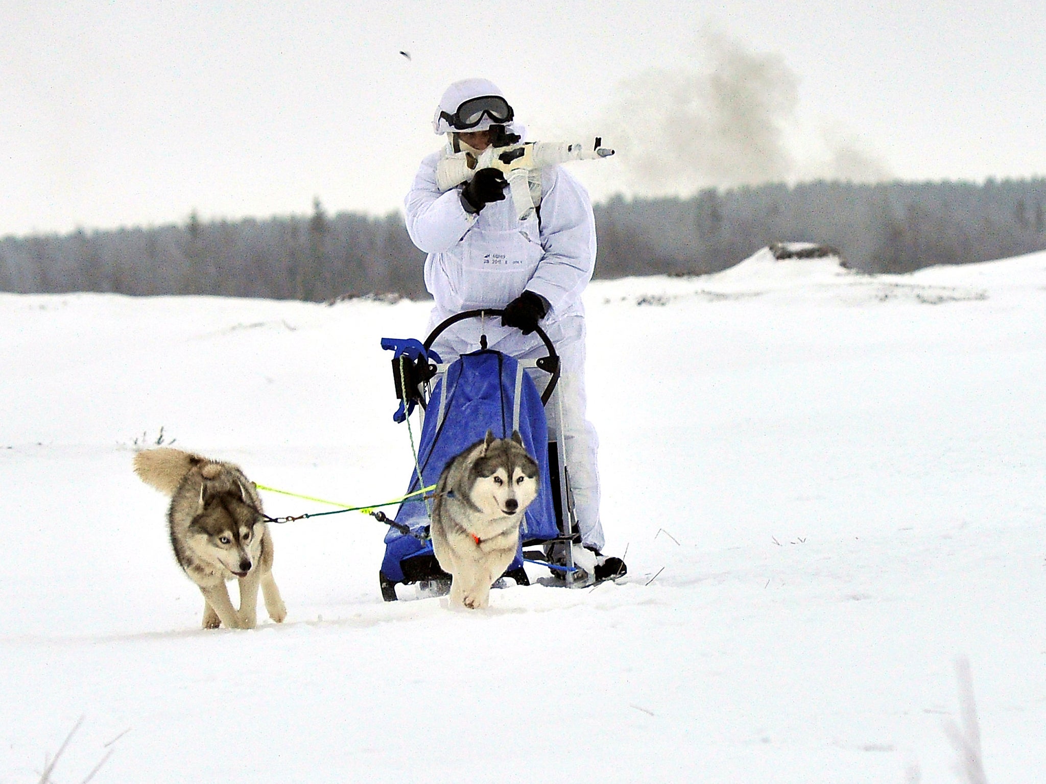 A Russian serviceman of the Northern Fleet's Arctic mechanised infantry brigade participates in a military drill on riding reindeer and dog sleds near the settlement (Reuters)