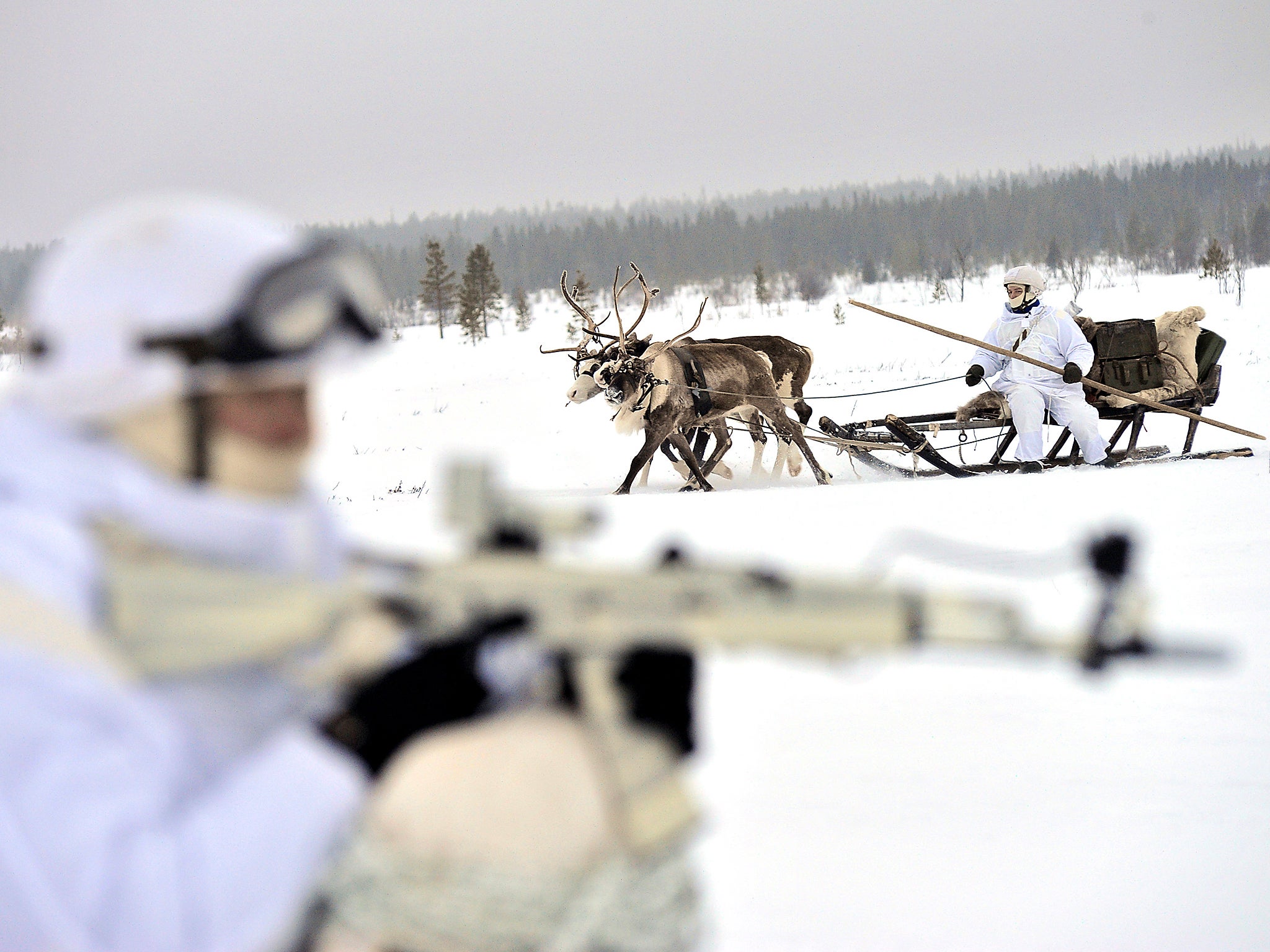 Russian servicemen of the Northern Fleet's Arctic mechanised infantry brigade participate in a military drill on riding reindeer and dog sleds near the settlement of Lovozero outside Murmansk (Reuters)
