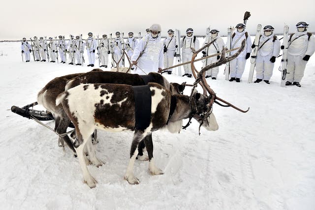 Russian servicemen of the Northern Fleet's Arctic mechanised infantry brigade participate in a military drill on riding reindeer and dog sleds near the settlement of Lovozero outside Murmansk, Russia