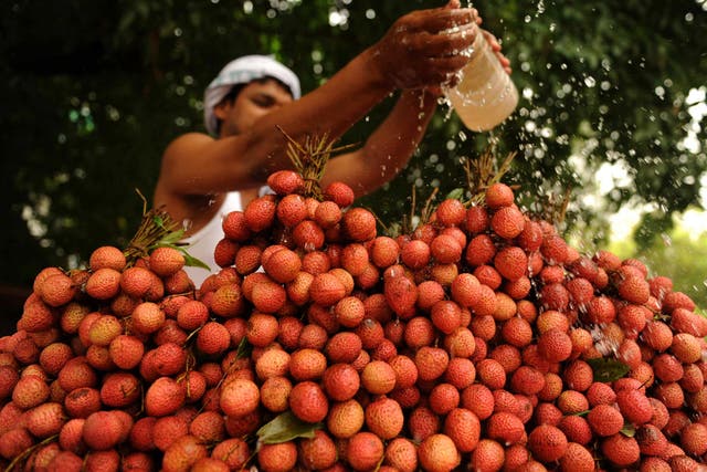 An Indian fruit seller pours water over lychees
