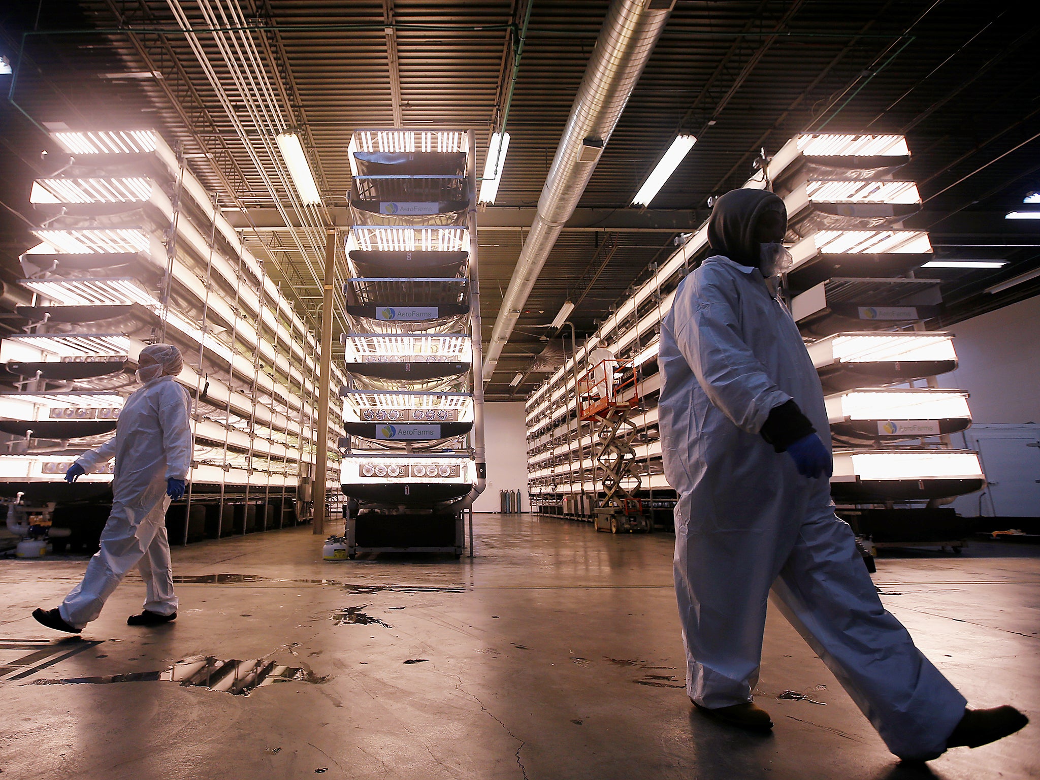 Workers walk near vertical farming beds at an AeroFarms Inc. facility in Newark, New Jersey