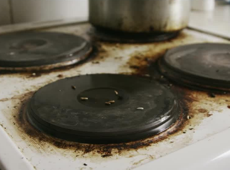 Footage in the film shows poor conditions in asylum housing, including bugs on cooking hobs