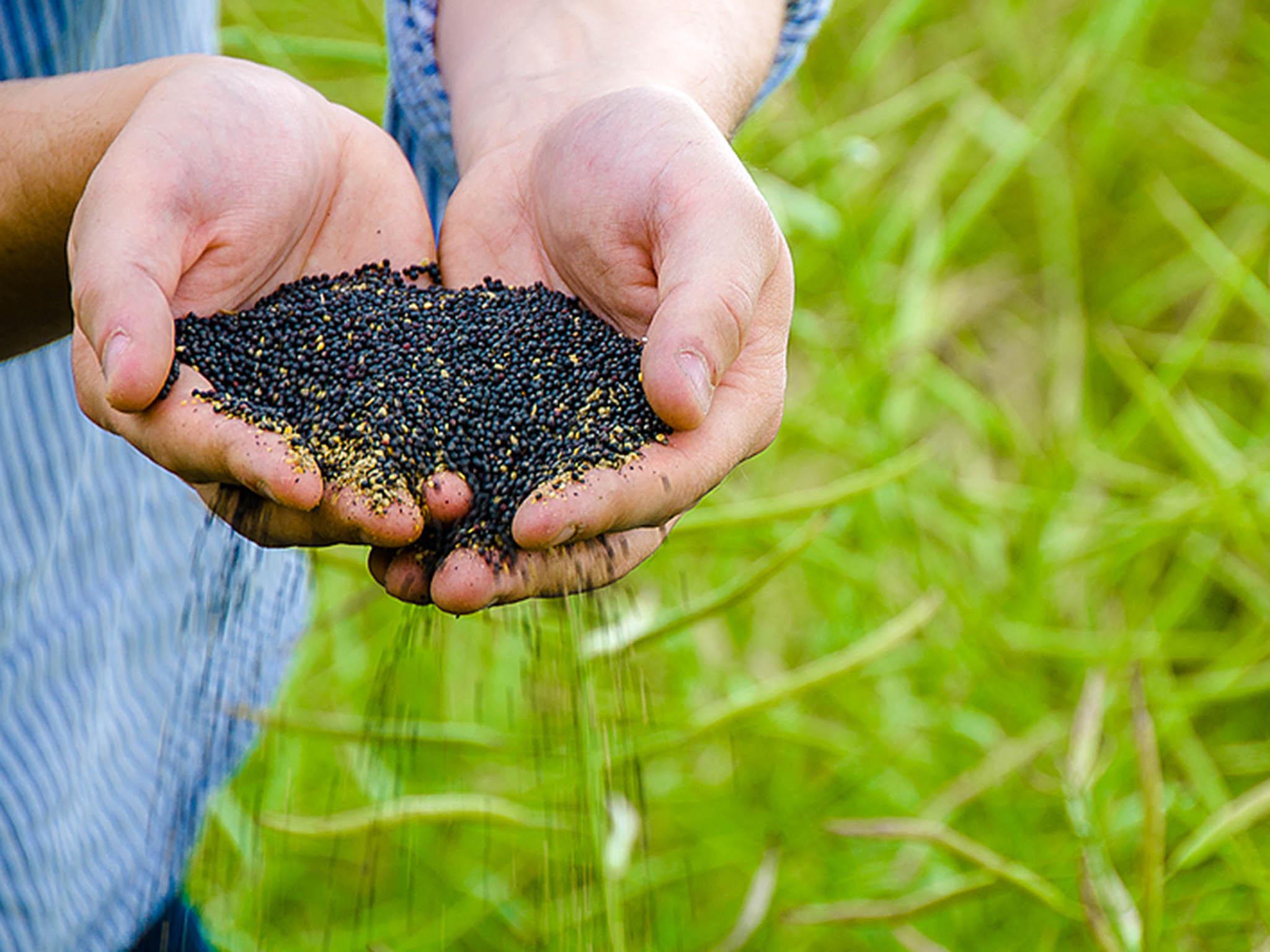 The Mack family knew the farm needed to modernise and now produces rapeseed oil