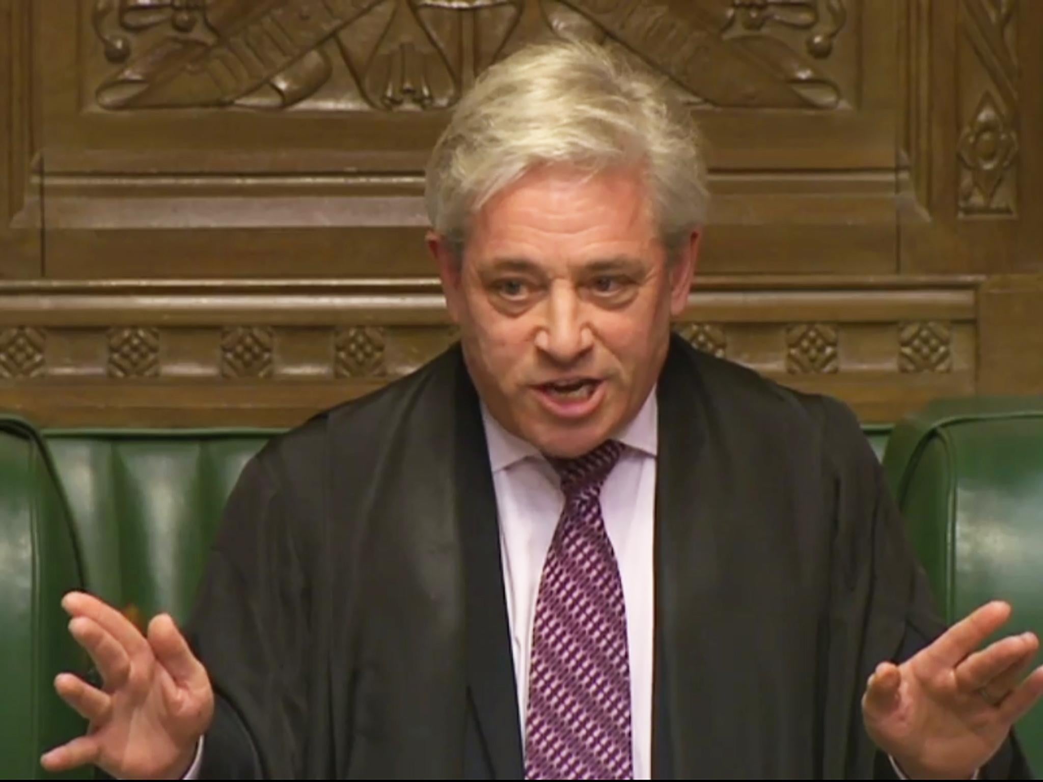 The Speaker John Bercow