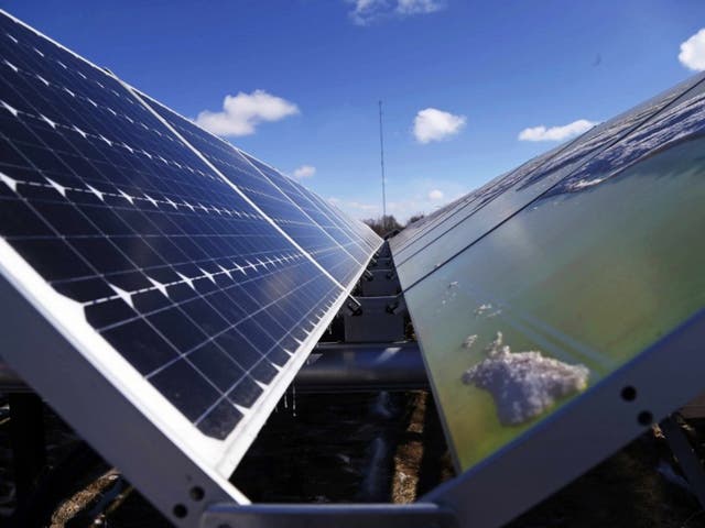 Solar panels are part of the Wright-Hennepin Cooperative Electric Association’s community gardens in Rockford, Minnesota