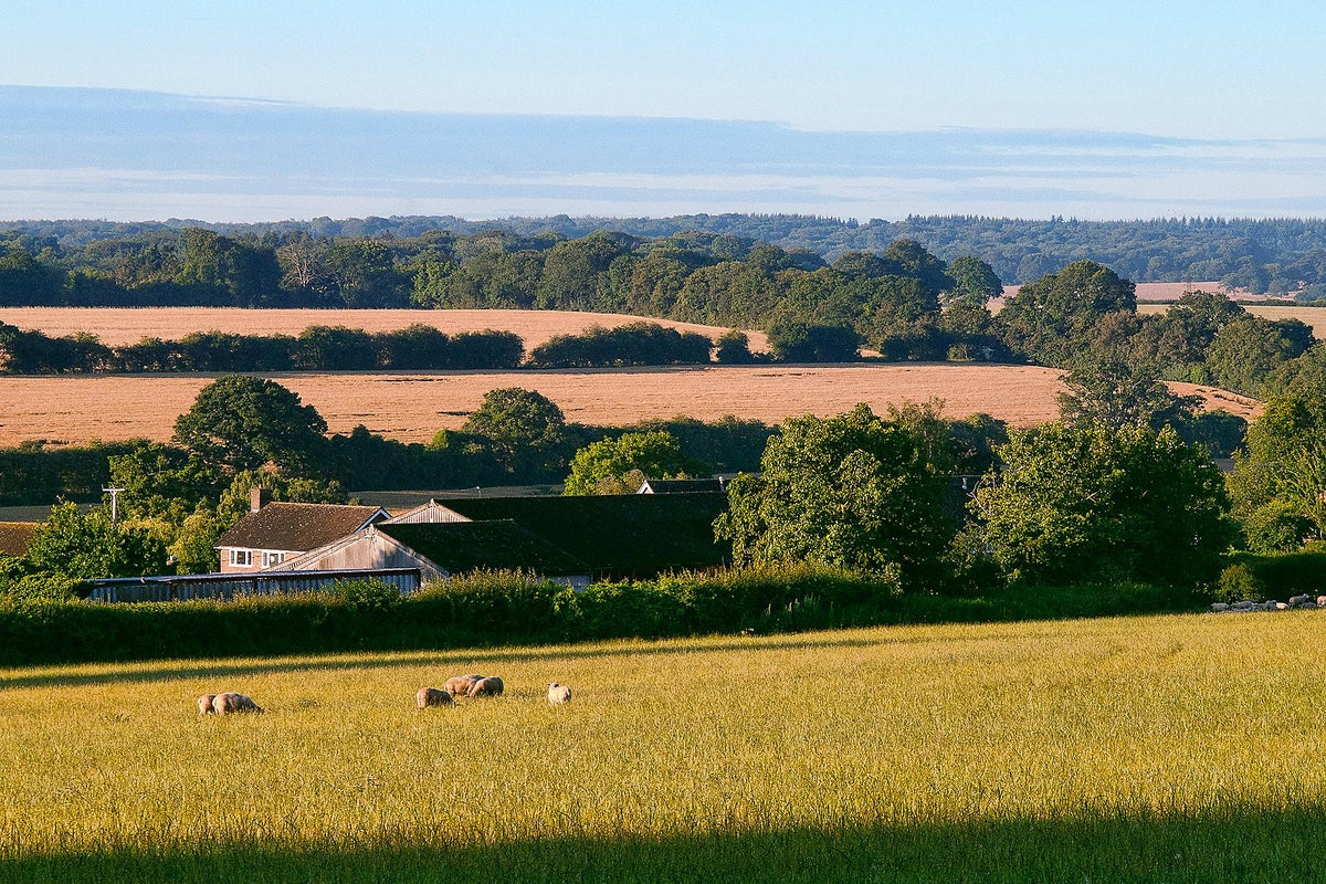 Should Britain build on its green spaces to solve the housing crisis ...
