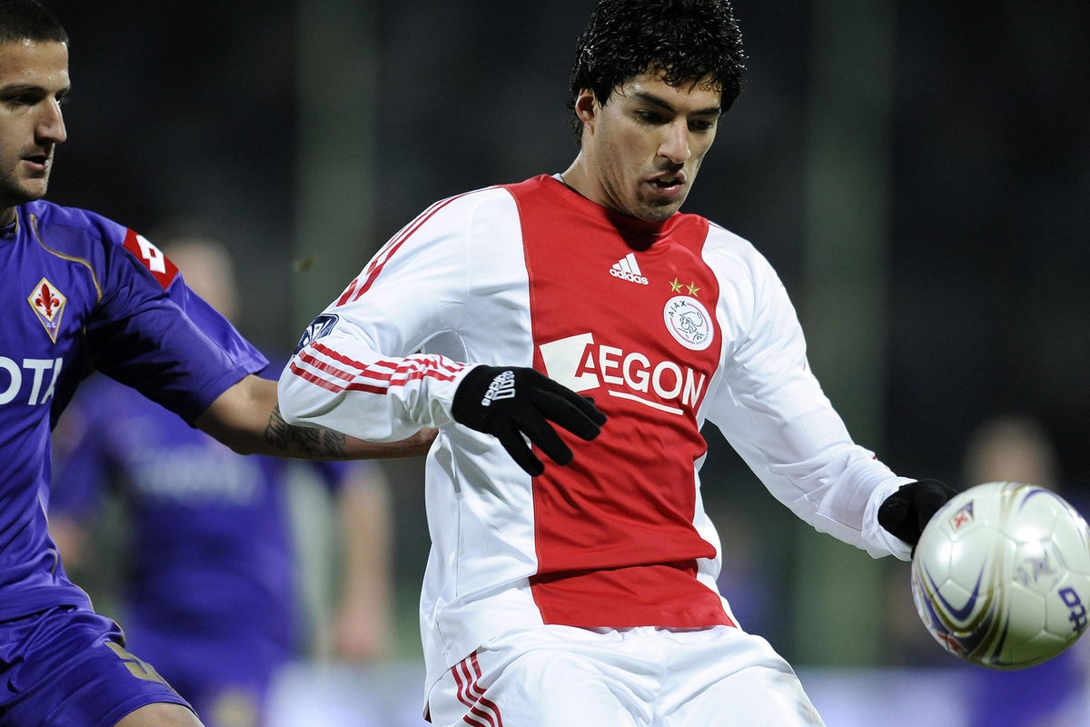 Tottenham's new chief scout Steve Hitchen helped Liverpool sign Luis ...