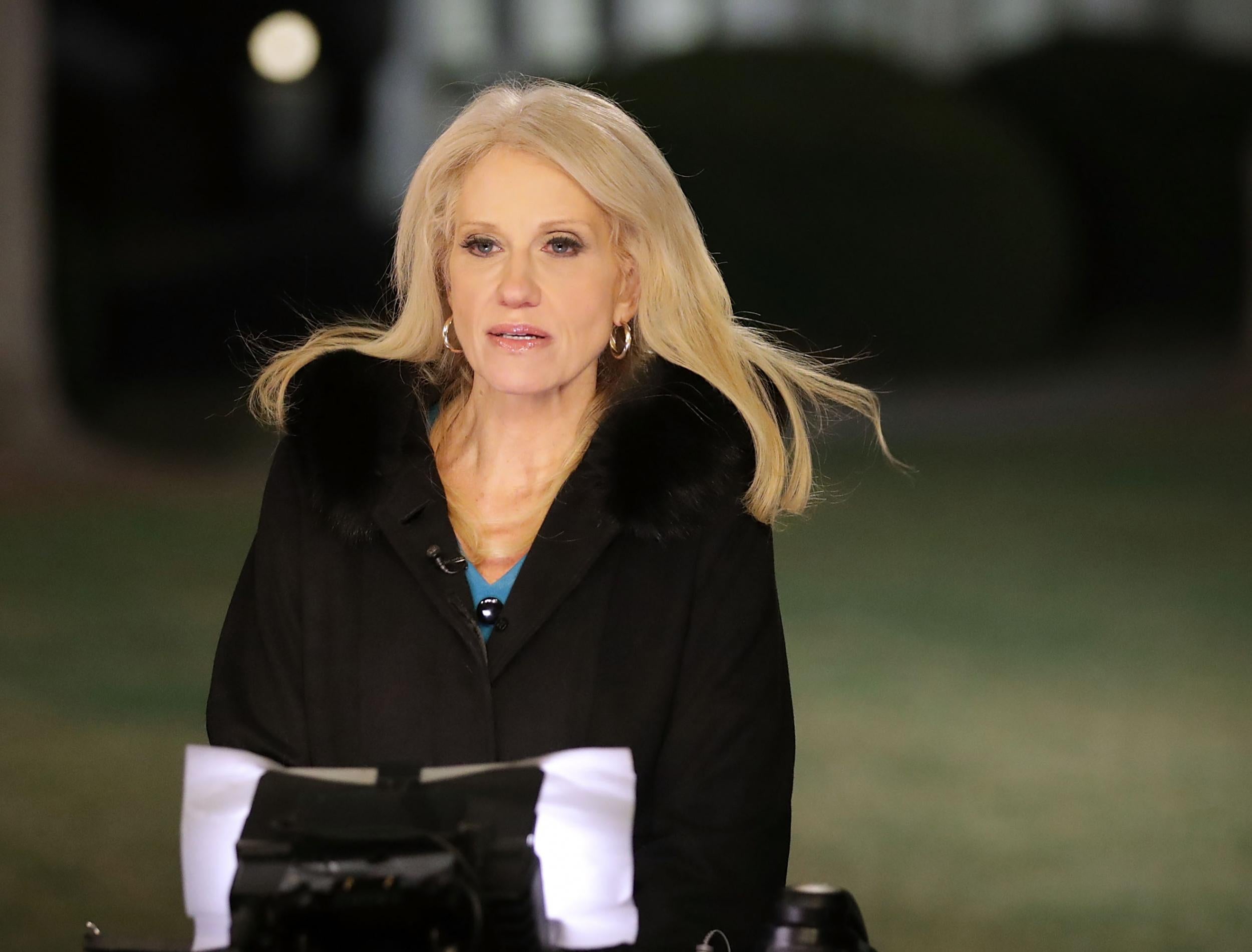 Trump adviser Kellyanne Conway is interviewed by FOX News on the north side of the White House