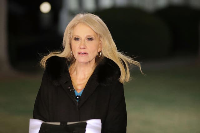 Trump adviser Kellyanne Conway is interviewed by FOX News on the north side of the White House