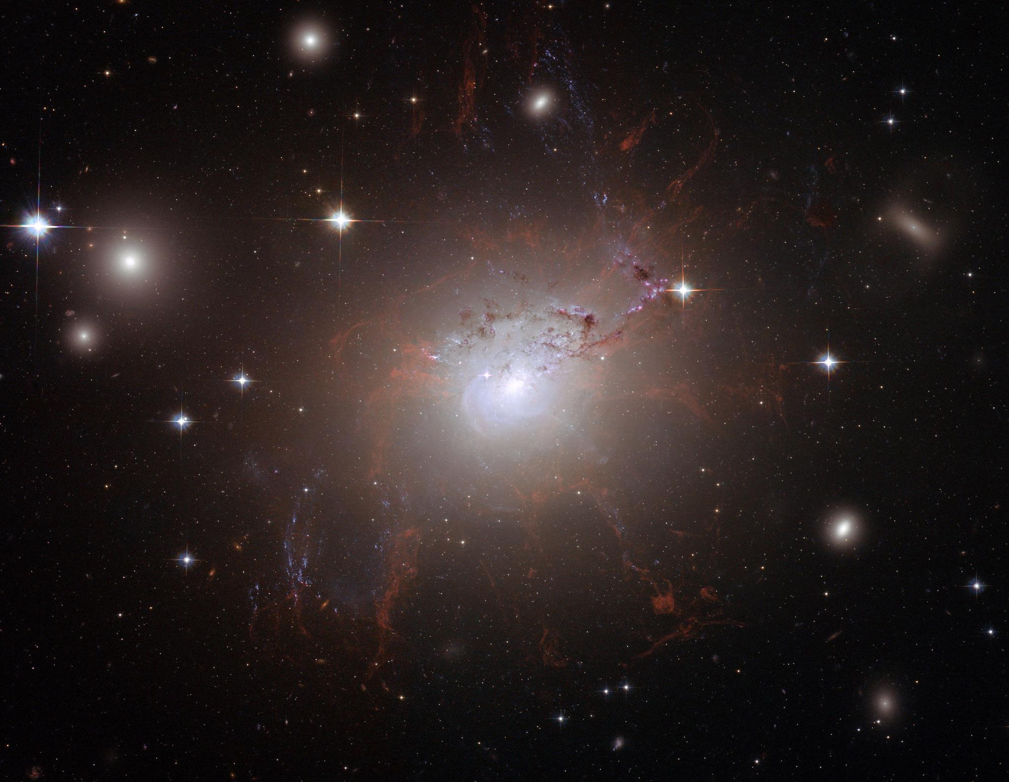 This handout image of the giant, active galaxy NGC 1275, obtained August 21, 2008 was taken using the NASA/ESA Hubble Space Telescope?s Advanced Camera for Surveys in July and August 2006