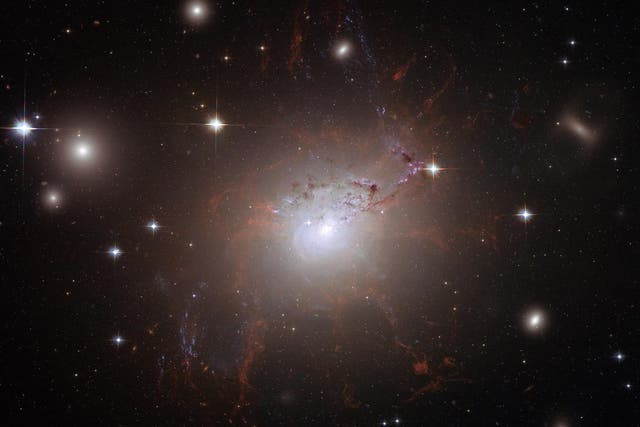 This handout image of the giant, active galaxy NGC 1275, obtained August 21, 2008 was taken using the NASA/ESA Hubble Space Telescope?s Advanced Camera for Surveys in July and August 2006