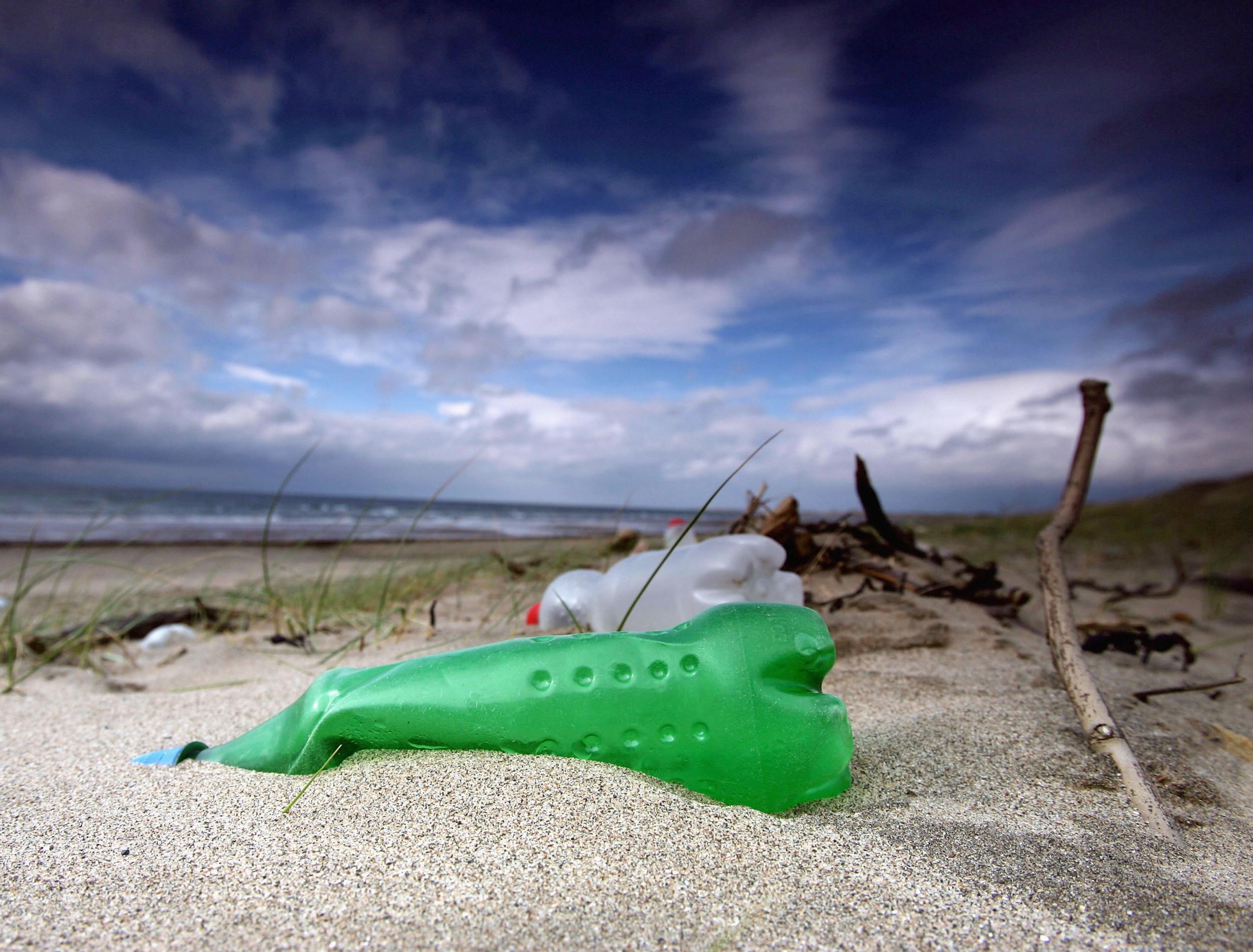 <p>The  Wildlife Trusts say the UK Government  is failing the environment. File picture </p>