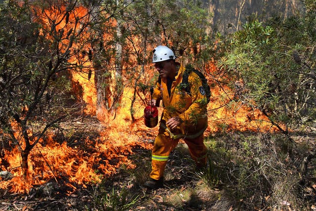 A firefighter tackling a blaze in 2013, when searing heat across New South Wales caused bush fire which destroyed more than 200 homes.