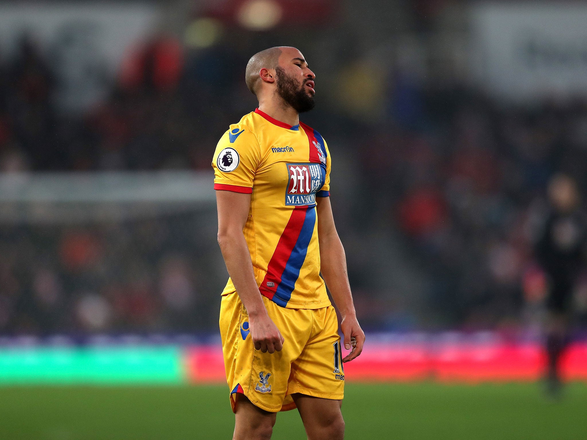 Palace continue to struggle at the bottom of the table