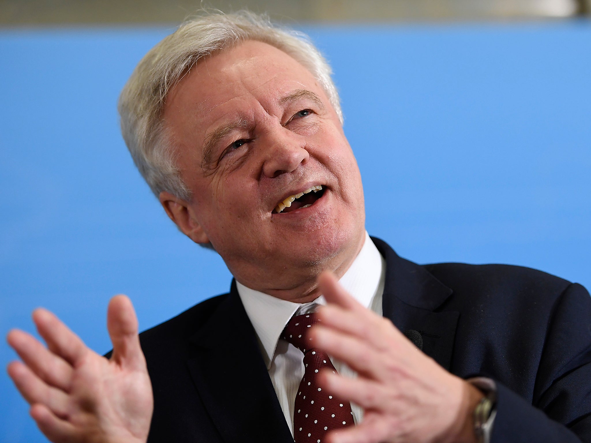 David Davis will order peers to ditch the Lords amendments