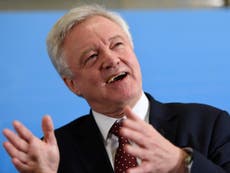 Davis indicates Britain unlikely to invoke Article 50 at EU summit