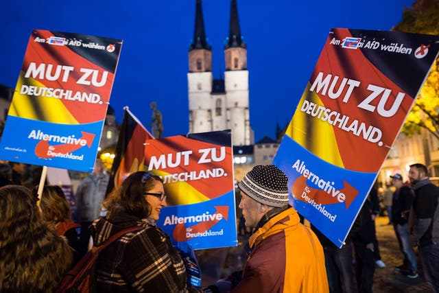 Supporters at an AfD rally on 21 October 2015 in Halle, Germany.