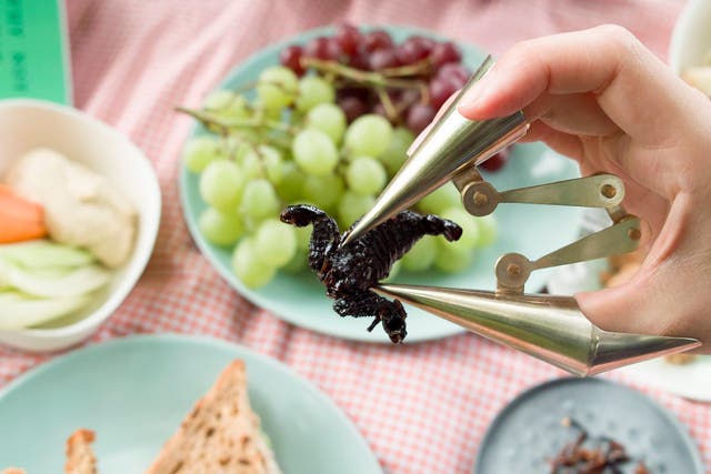 Kobayashi Wataru has imagined a world where everyone is open to eating bugs