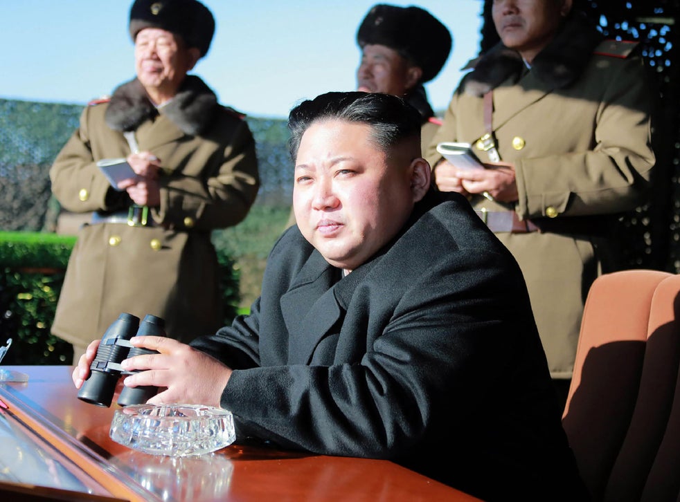 Kim Jong-nam murder: South Korea accuses North of 'state ...