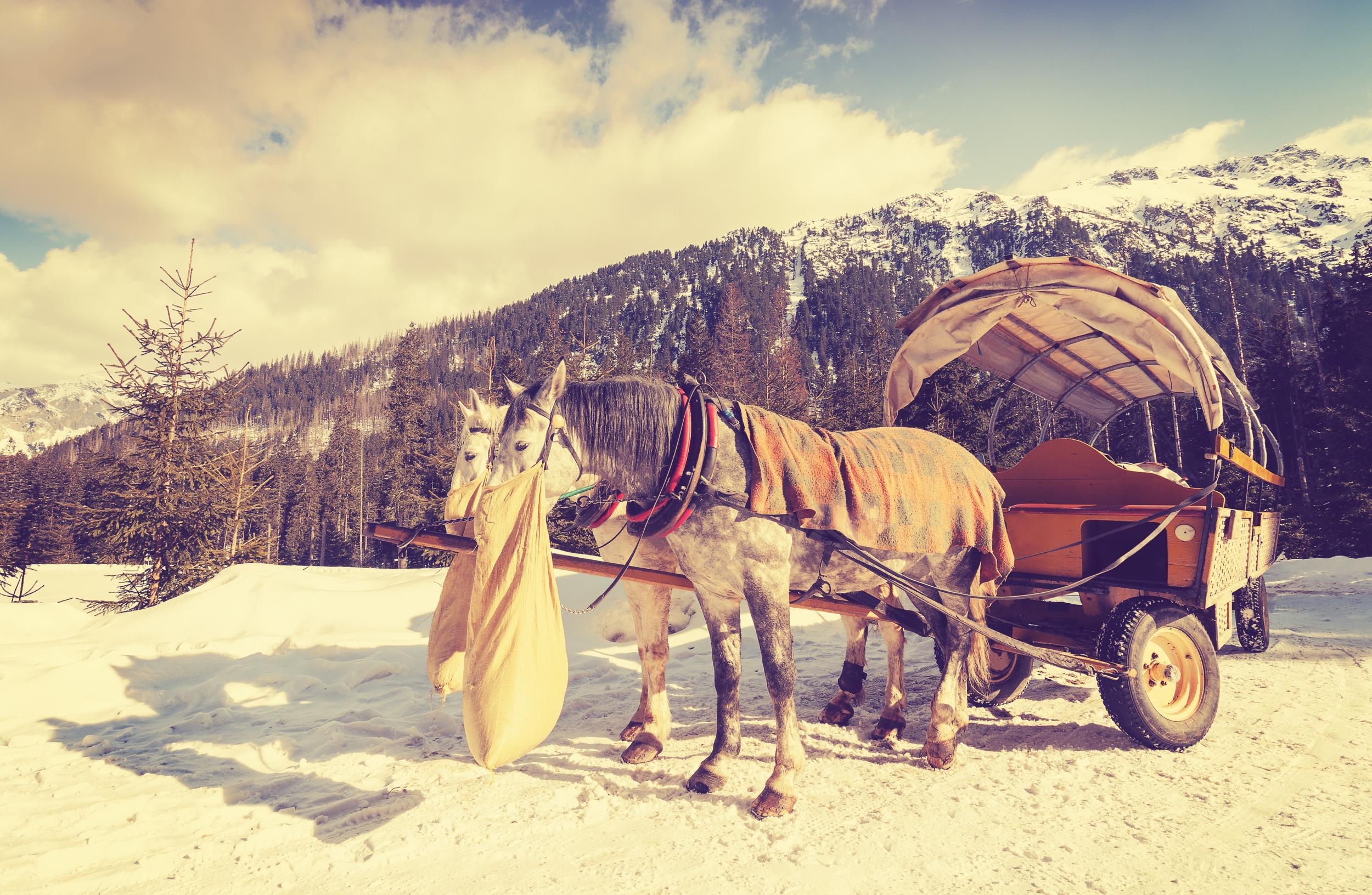 A horse-drawn carriage ride is standard in Zakopane