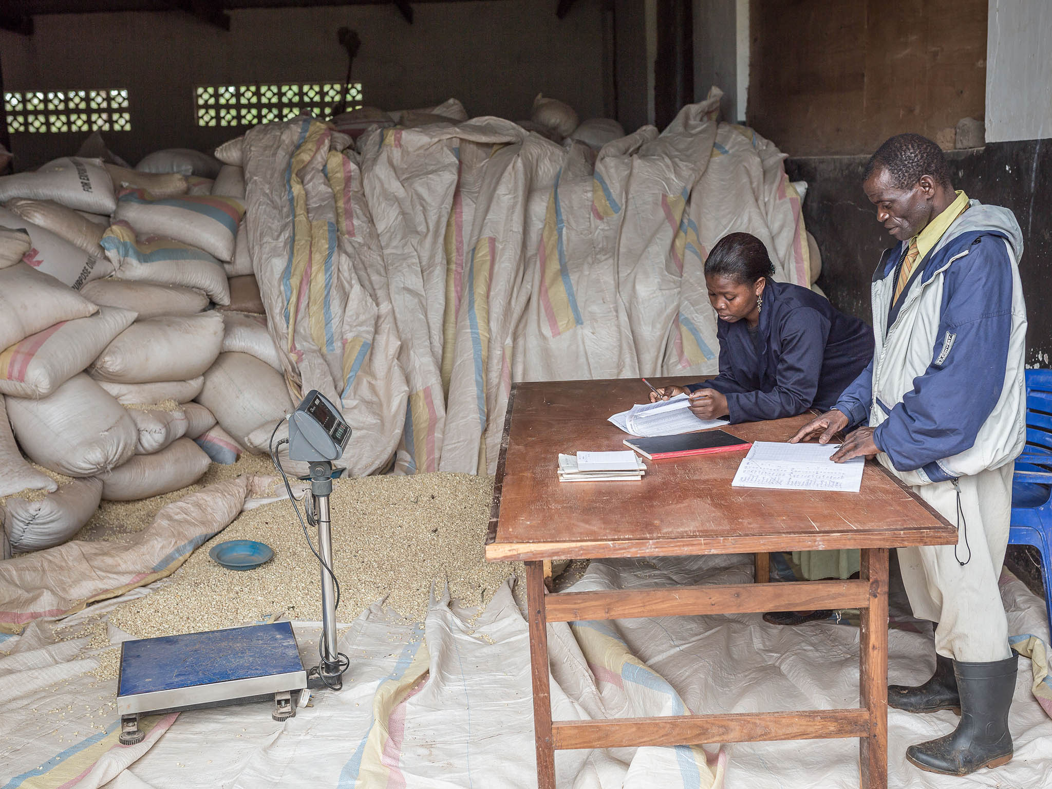 Maize warehouse:?a subsidised maize distribution scheme has increased food security during the 'hungry months'
