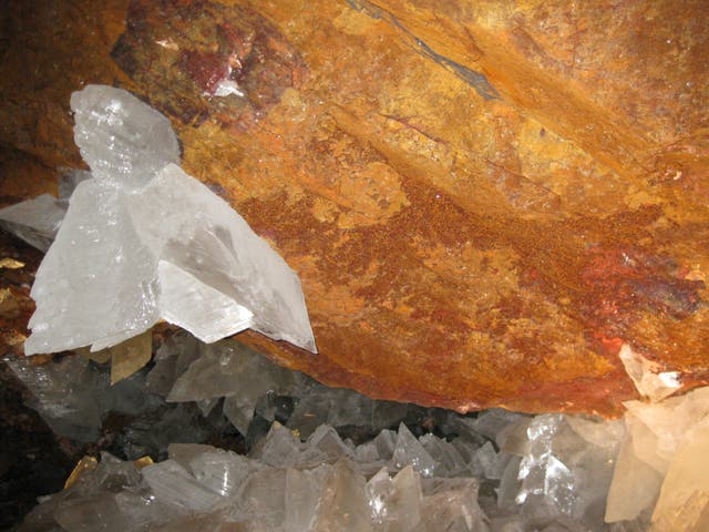 Scientists have discovered life trapped in crystals that could be 50,000 years old in caves in Mexico