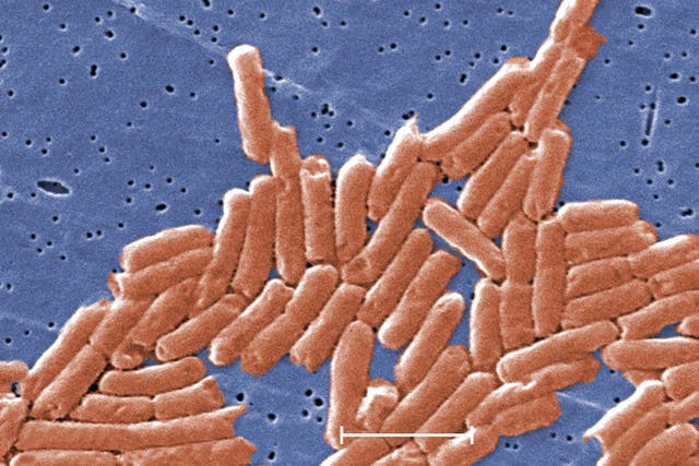 <p>CDC have reported two outbreaks of salmonella  </p>