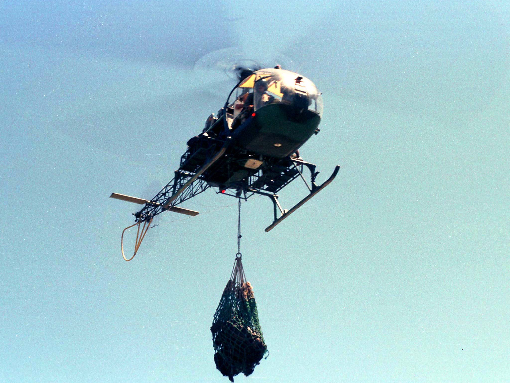 An Ecuadorean army helicopter carries tortoises in a net during the rescue of giant tortises from the Isabella Island of the Galapagos Island chain