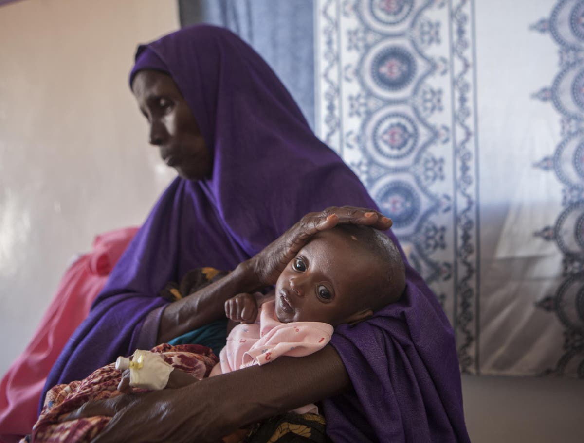 Somalia food crisis at 'tipping point' with country heading towards ...