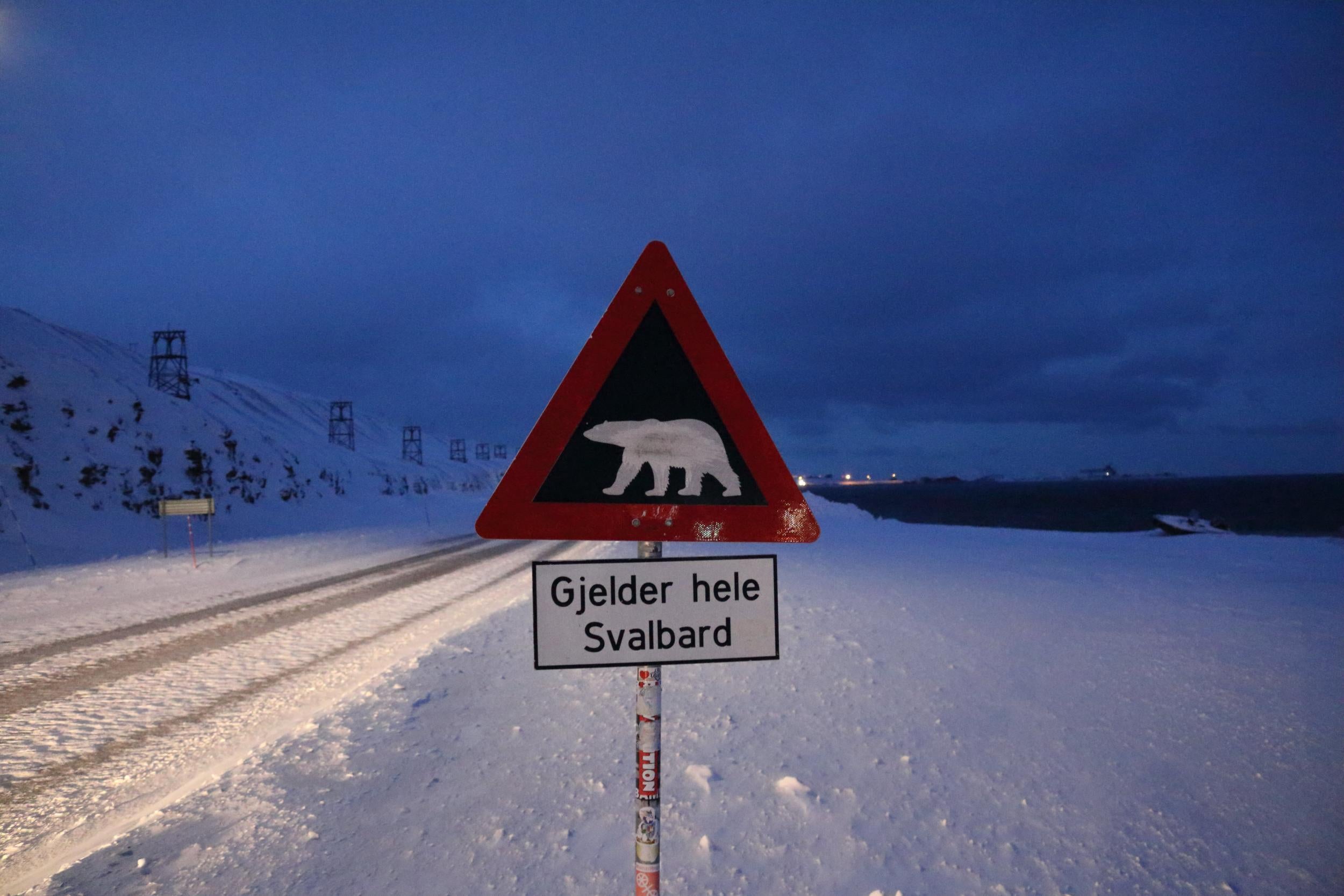 Polar bear warning signs in wintertime Svalbard (George Godson)