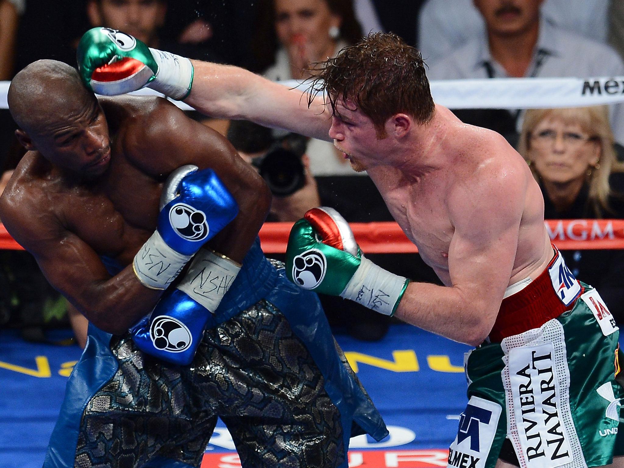 Alvarez lost to Mayweather in the American's penultimate fight