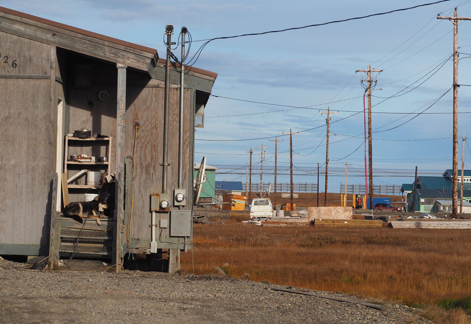 The Inupiat-Eskimo village of Kaktovik is struggling to manage an increase of polar bears coming to town