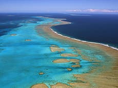Great Barrier Reef removed from Unesco's 'in danger' list